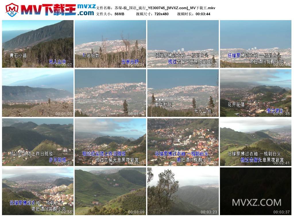 苏琛-梳_国语_流行_YE300745